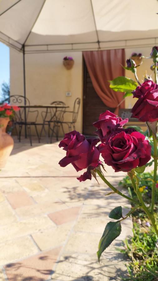 Il Casale Di Fiore Cannara Exterior foto
